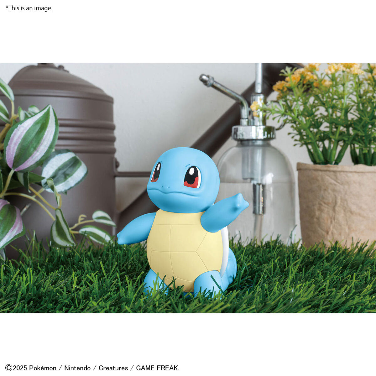 Squirtle
