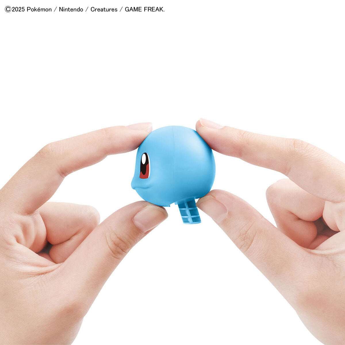 Squirtle