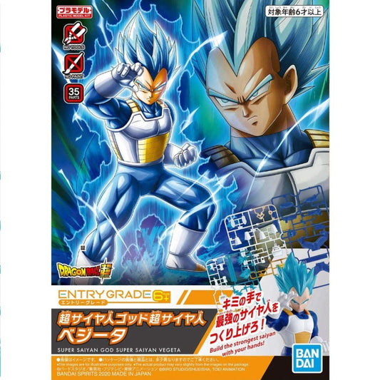 Vegeta Super Saiyan God
